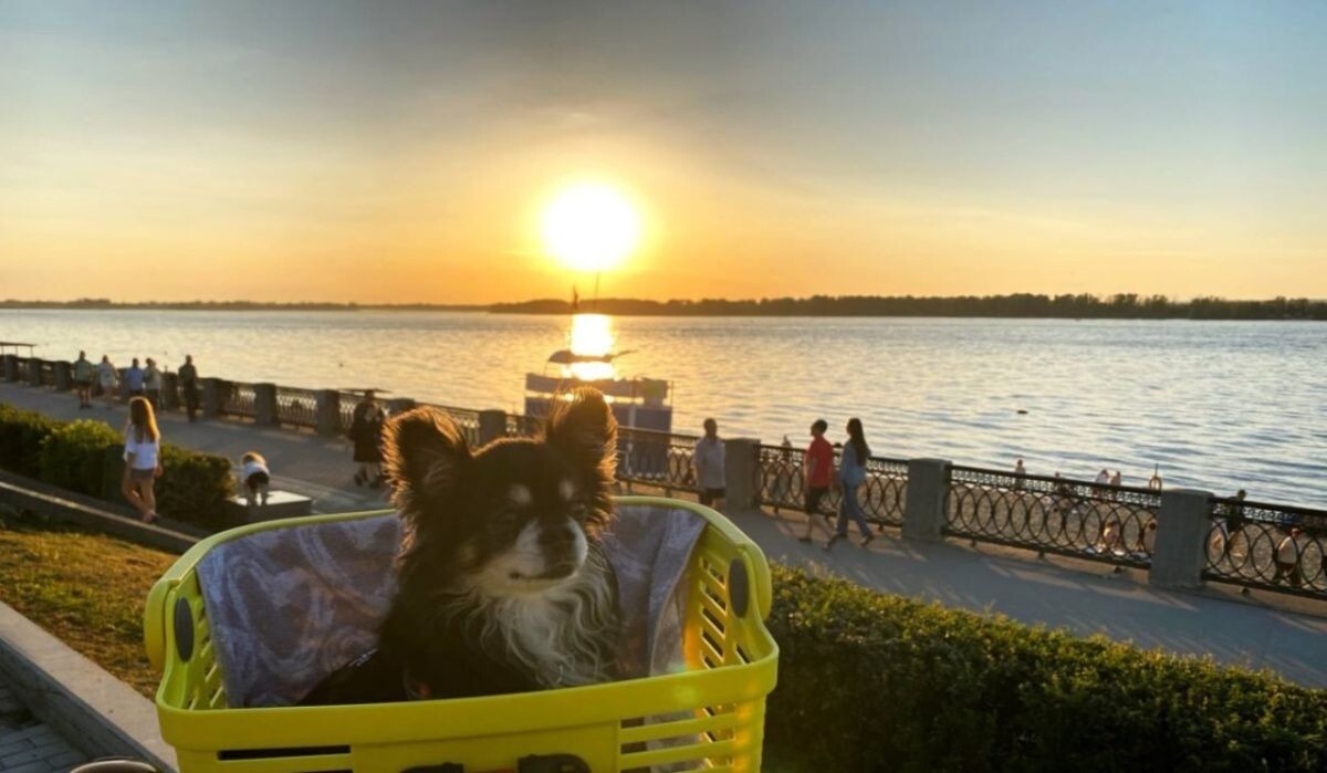     Самара. Источник: samadm.ru Автор фото: Полина Карпухина