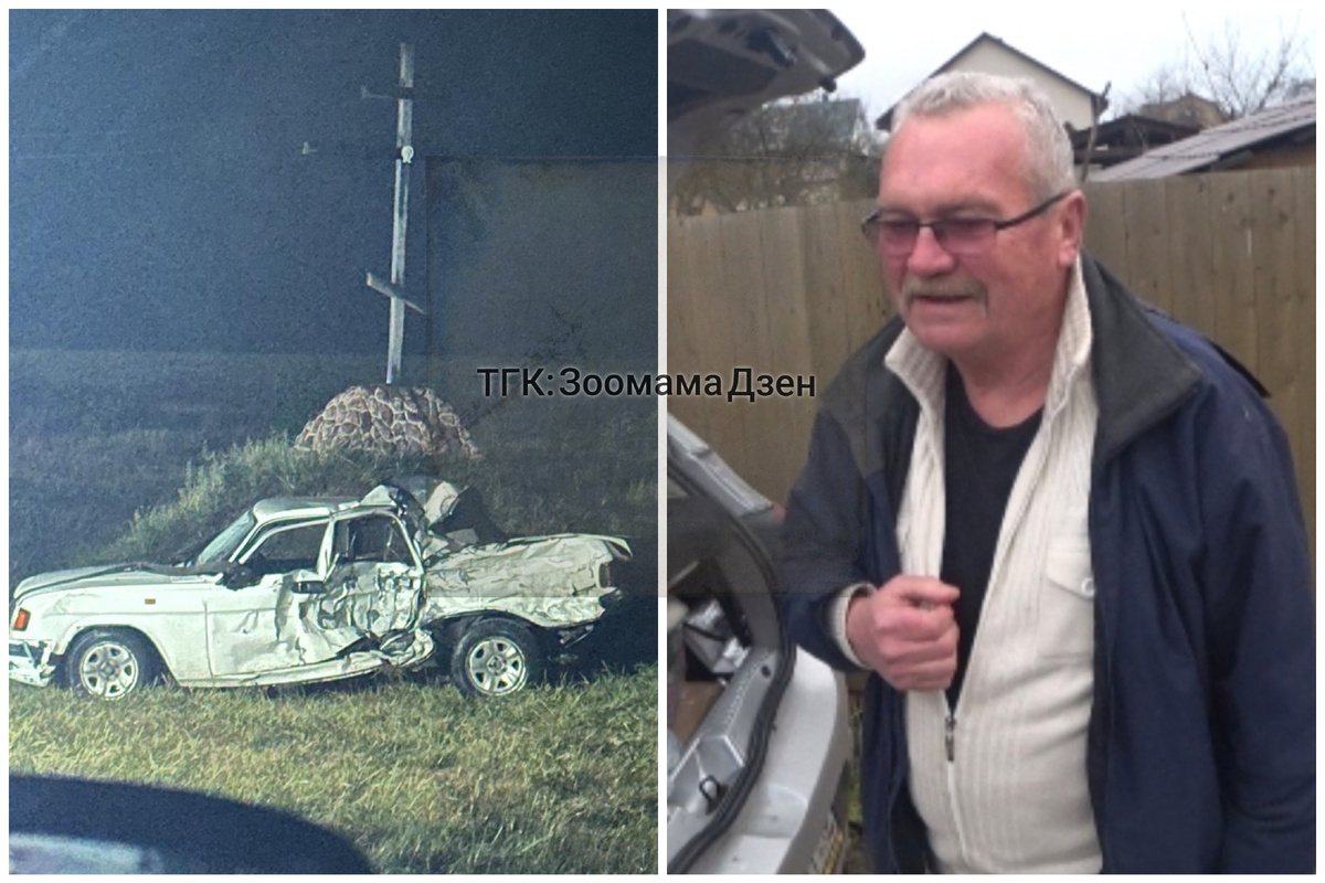 А. В. и кадры с места....