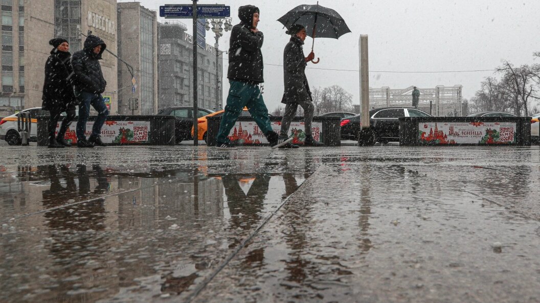    Фото: Сергей Булкин/Globallookpress.