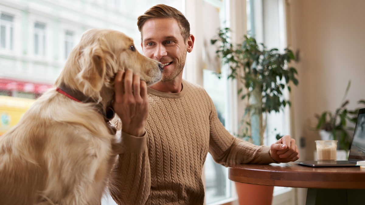    Югорчане спорят, можно ли с собаками ходить в кафе и магазины