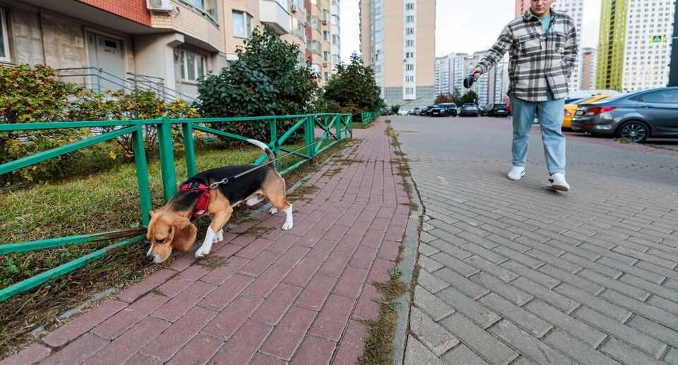    Медиасток.рф