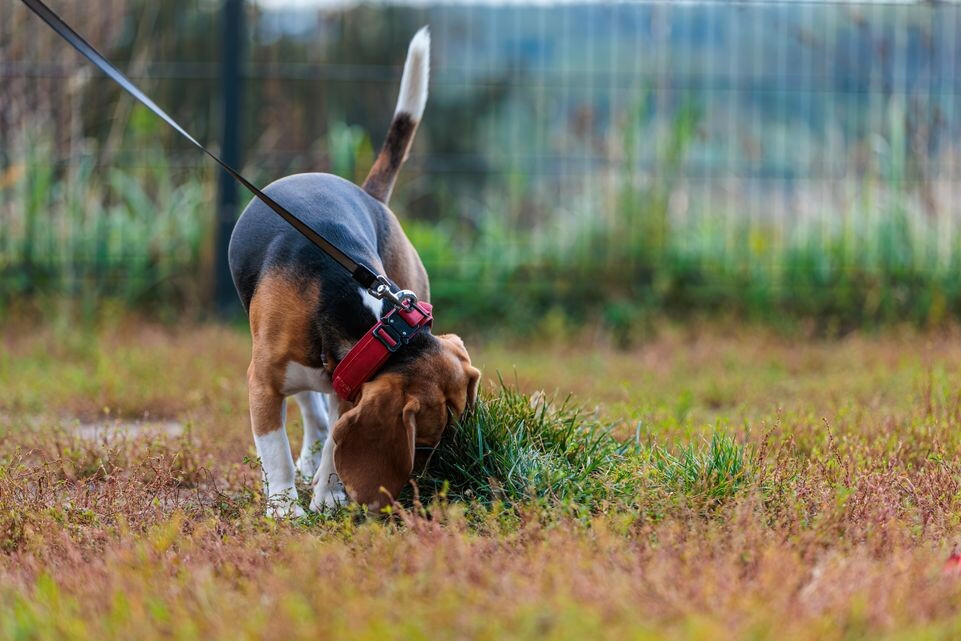    Медиасток.рф