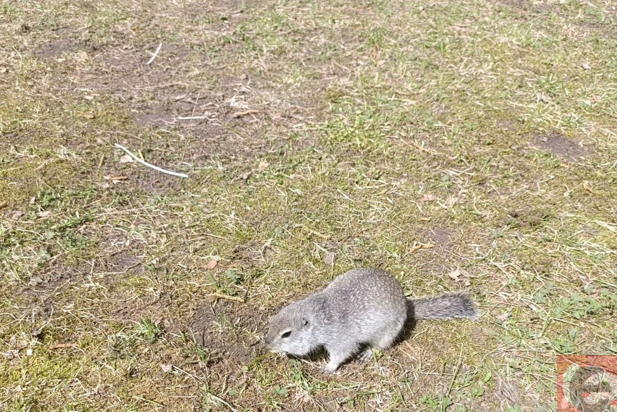    Фото: Прецедент