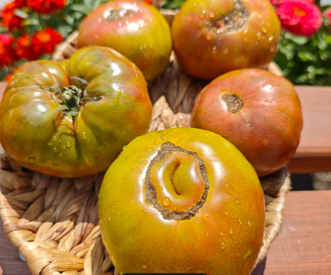 Огородник из Рязани