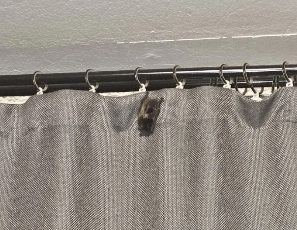 Фото информационной программы "День" и из социальных сетей
