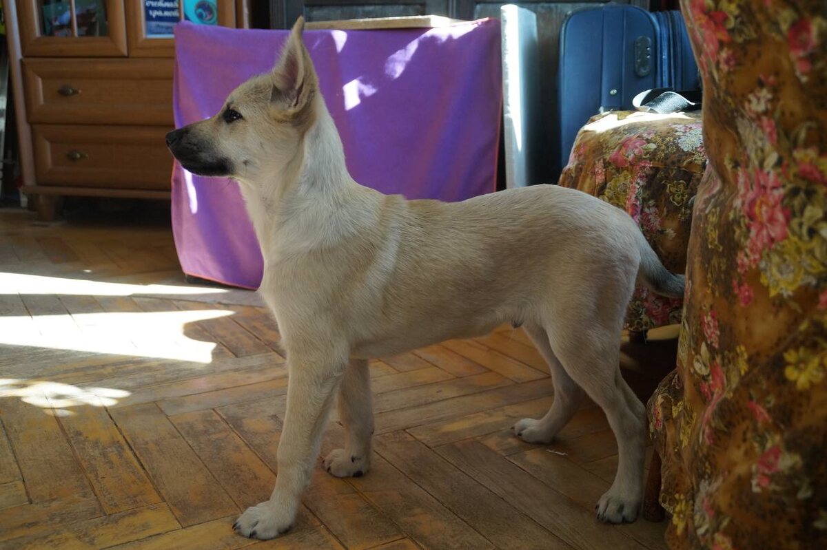 Красавчик! Умница!