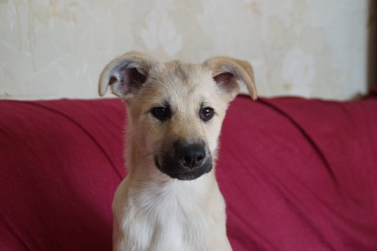 Дратути. Я Гром