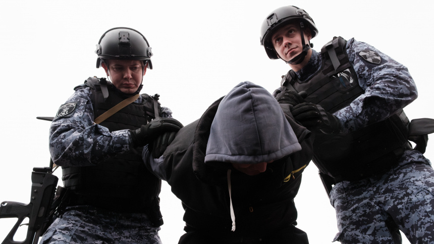    Фото: ИЗВЕСТИЯ/Сергей Виноградов; 5-tv.ru