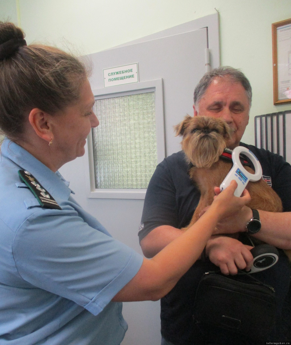 Фото: пресс-служба Северо-Западного межрегионального управления Россельхознадзора