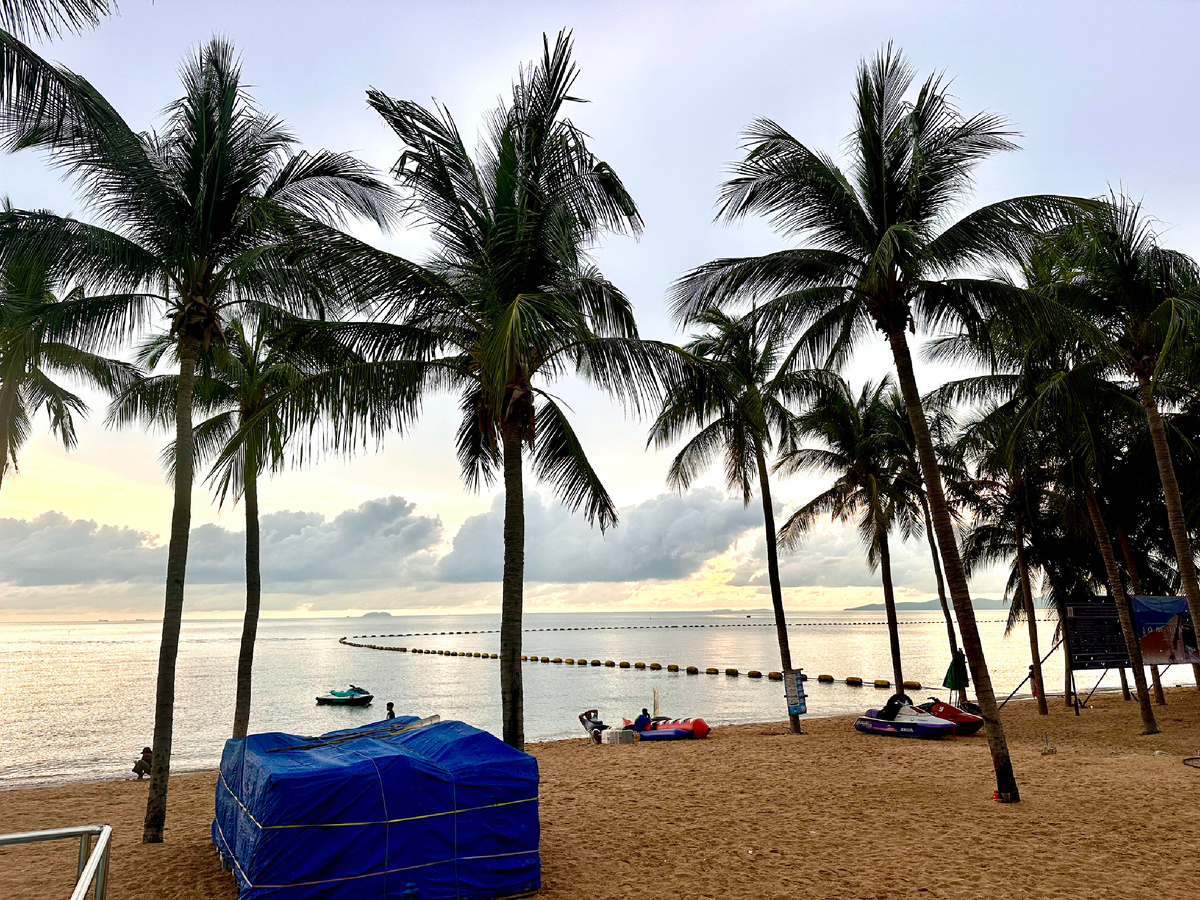 Пальмы на пляже Джомтьен.