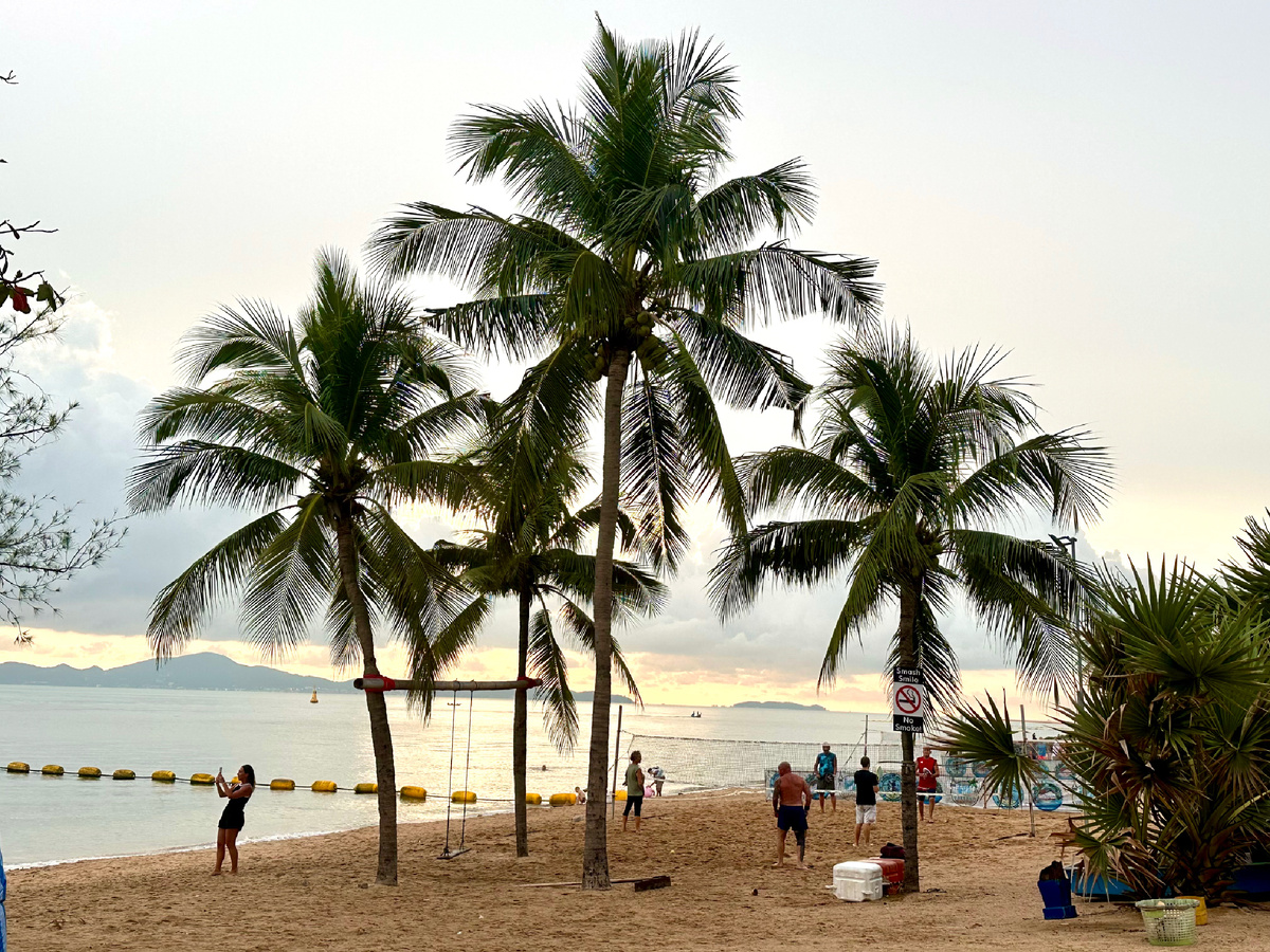 Пальмы и пляж.