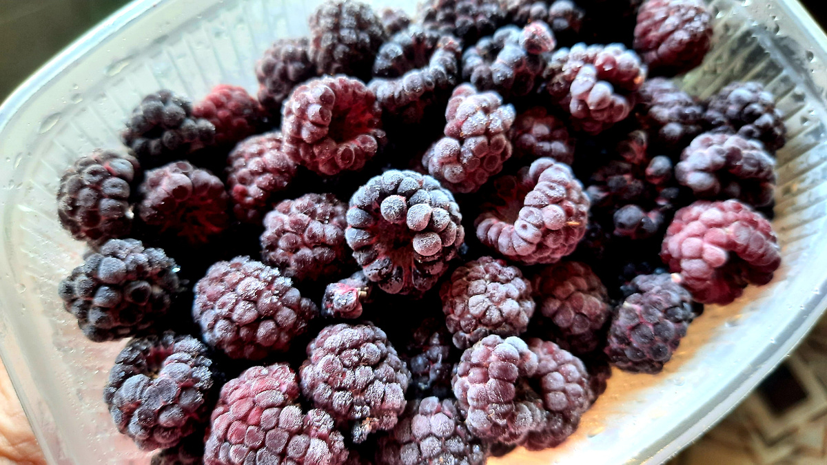 Фото автора.