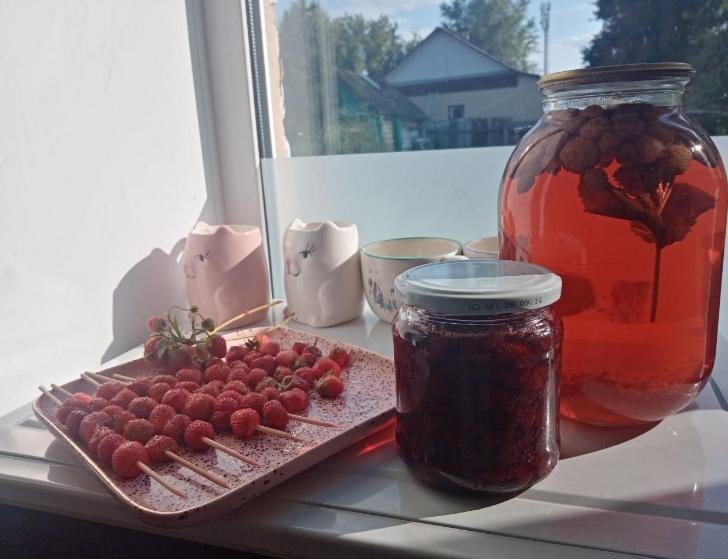    Фото: Пруфы