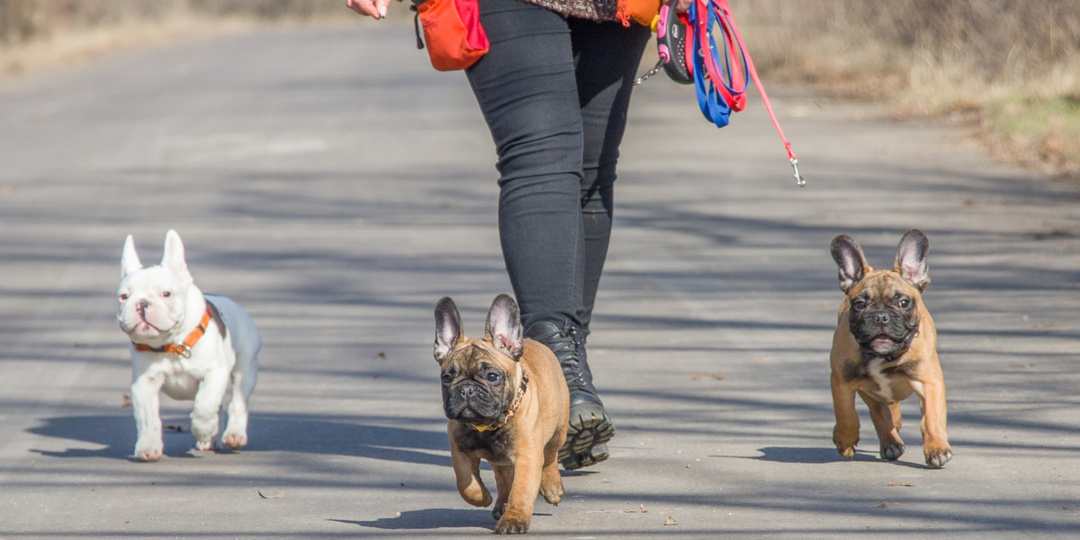 Опять про этот «страшный» пубертат