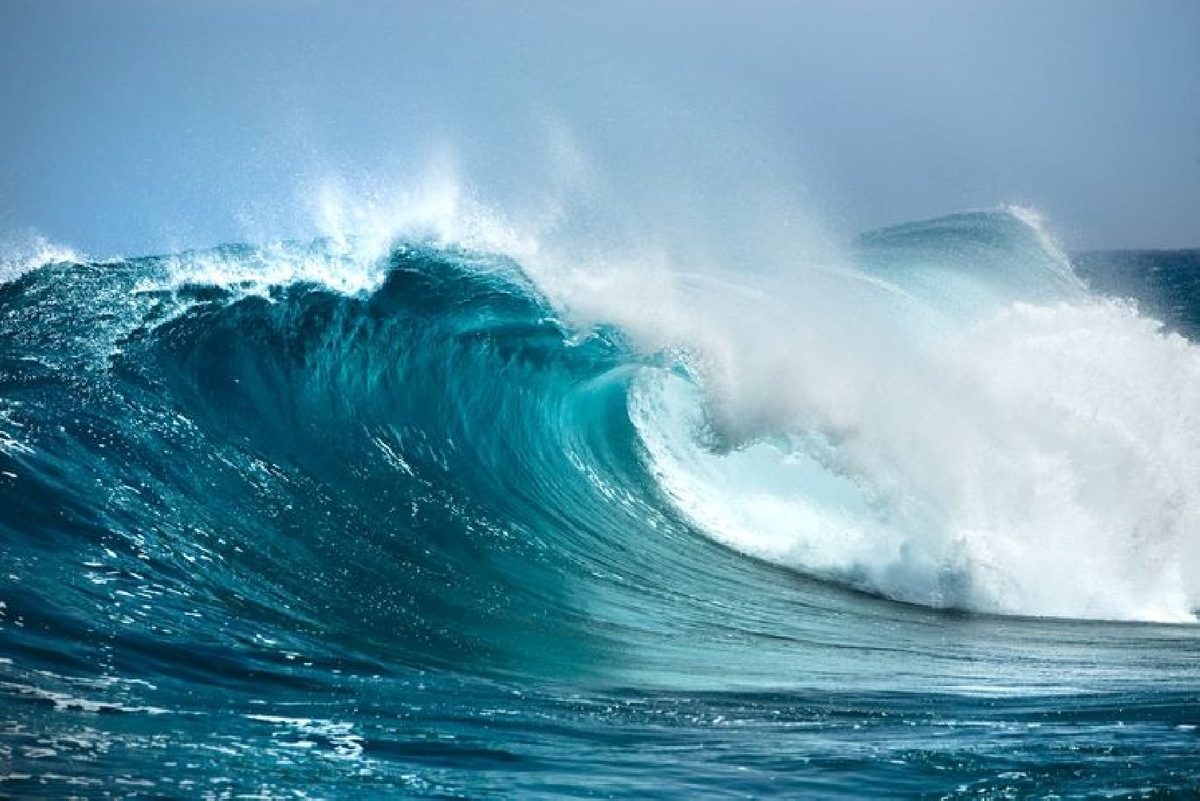    Фото: iStock/irabell