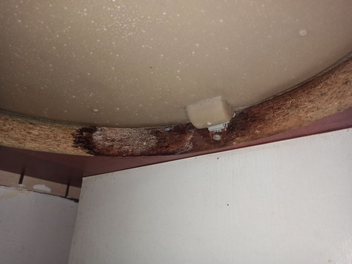 Образование плесени и гнили древесной плиты под раковиной