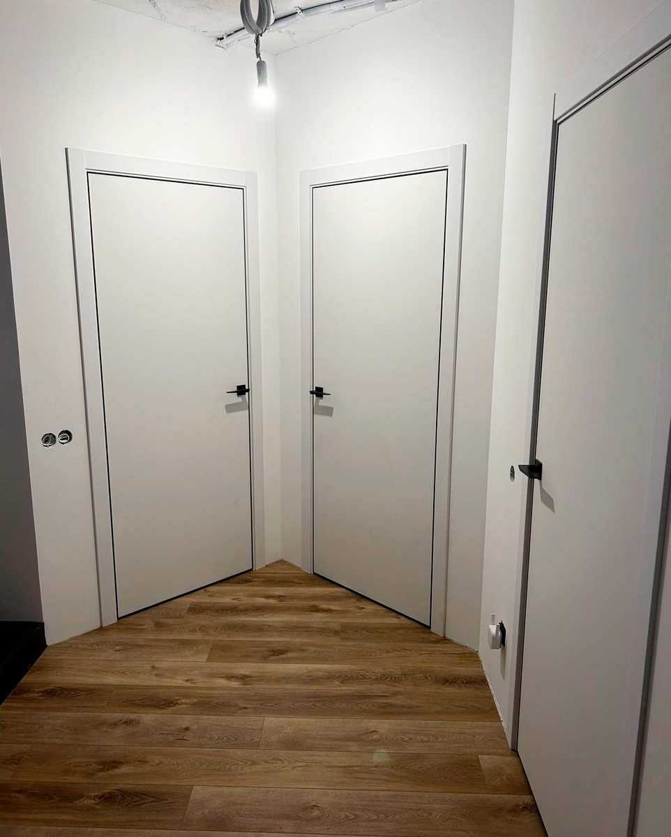 Двери Лорд на скрытых петлях AGB