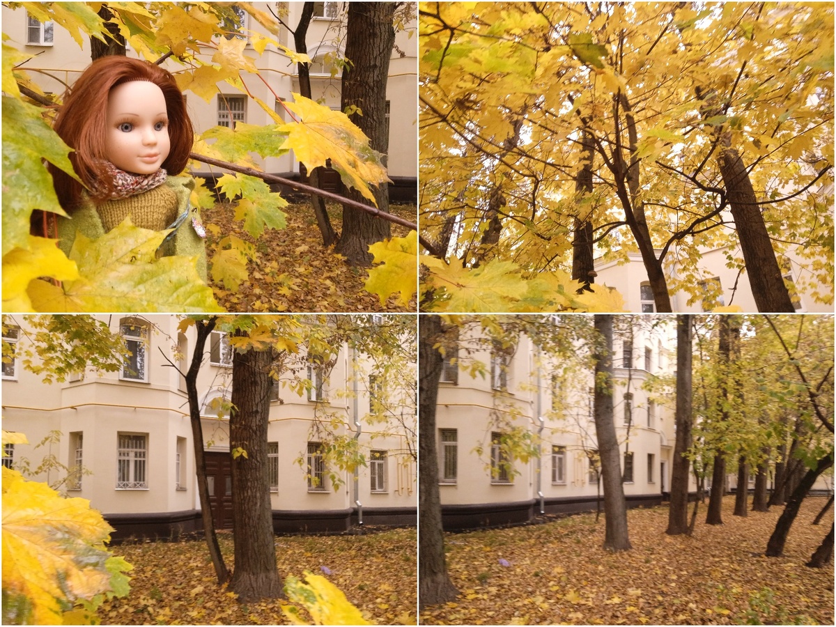 Когда листья не успевают вывозить...