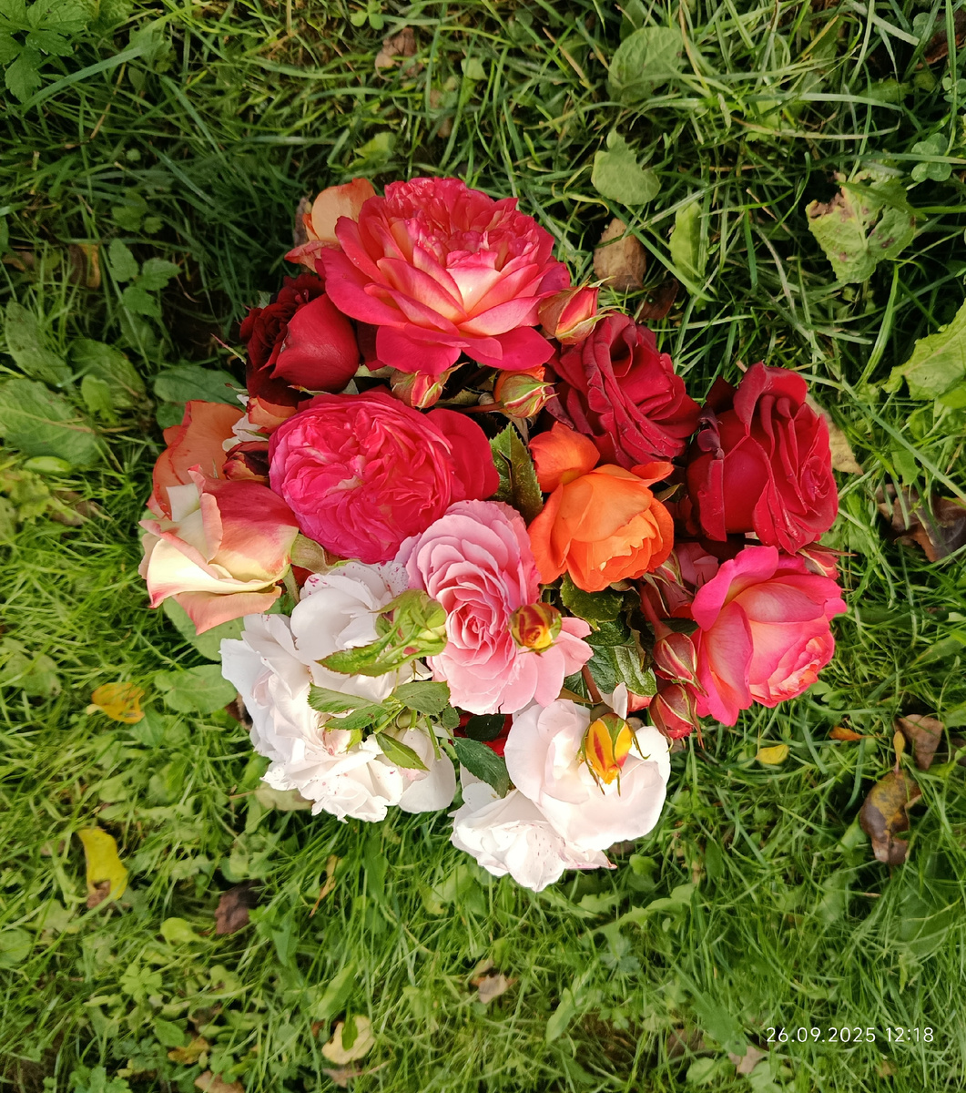 Заключительный букет, 26 сентября