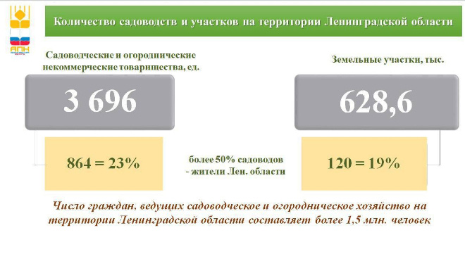 Фото: губернатор Ленобласти Александр Дрозденко