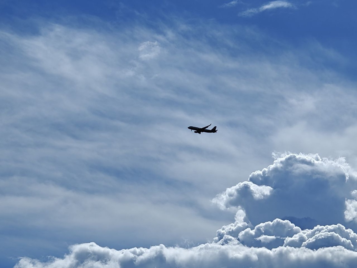    Фото: Юрий Серебренников/BFM Кубань