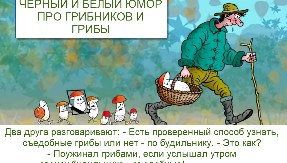 Черный и белый юмор про грибников | Шутки и карикатуры в одной подборке