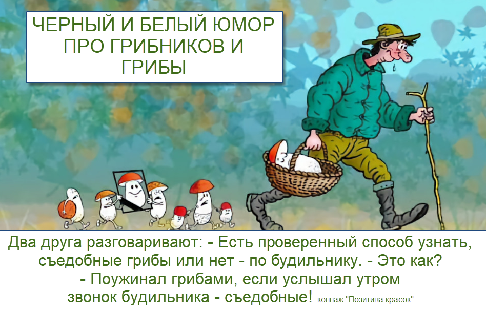 коллаж "Позитива красок"