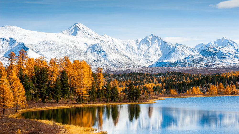     Фото: Olga Gavrilova/Shutterstock/FOTODOM