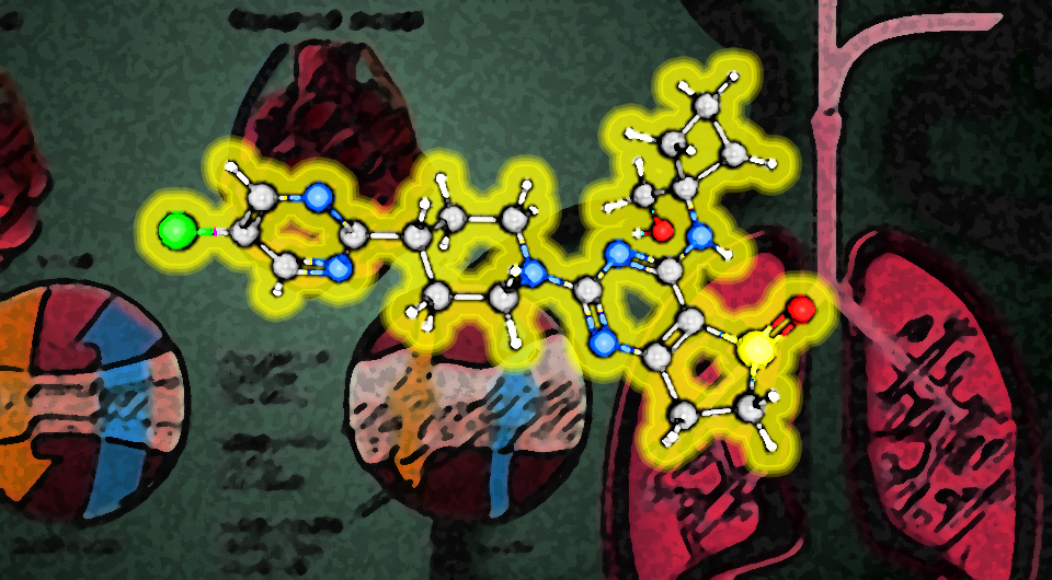   N + 1; PubChem; Anatomyclassproj1 / Wikimedia Commons / CC-BY-SA-4.0