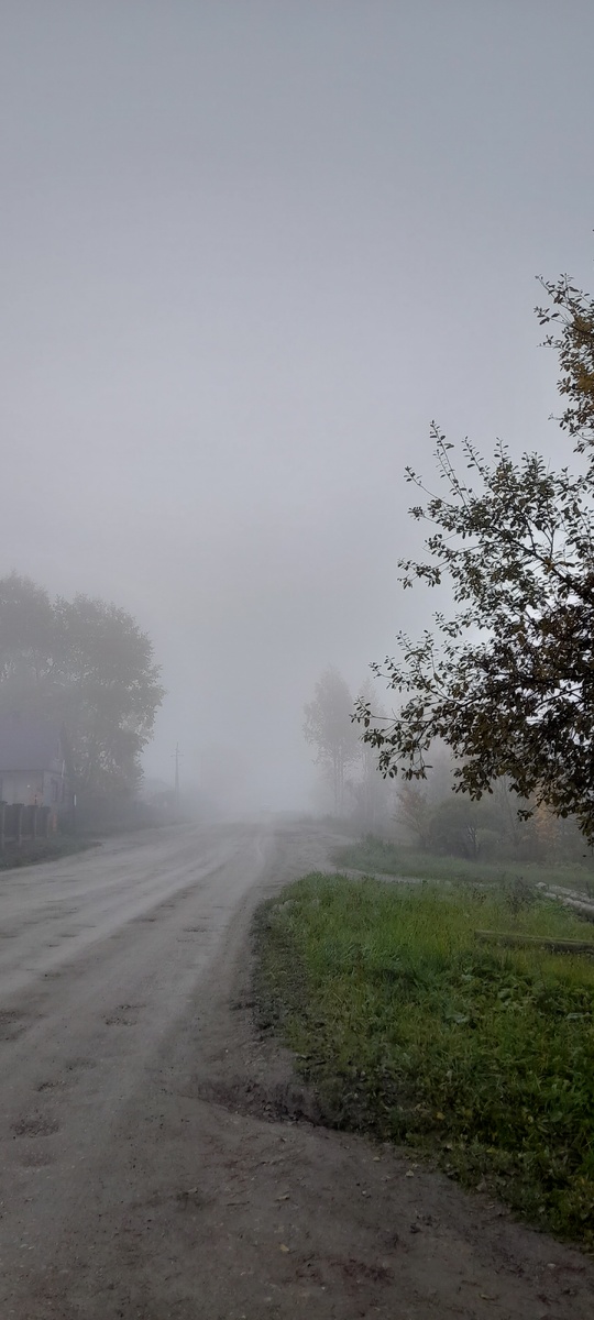 Утренние туманы в октябре дело обычное, но я всегда безумно им рада, потому что туман предвещает солнечную погоду на весь день и во вторых это всегда загадочно и таинственно... Теряются горизонты, размываются знакомые силуэты - страшно интересно и полная воля фантазии!