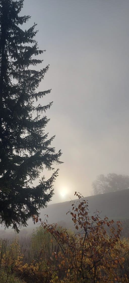 Туманный рассвет!)