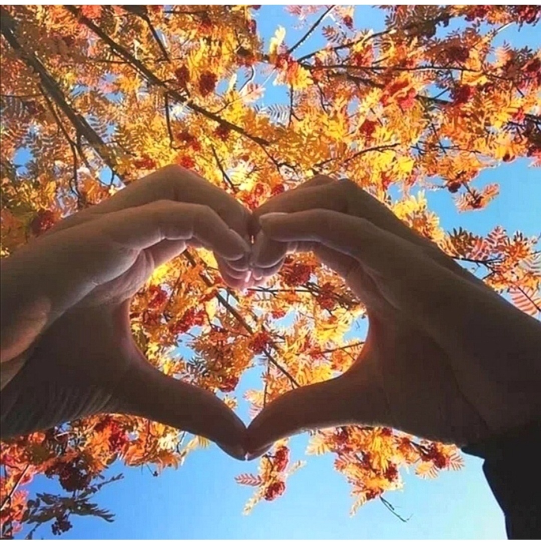 Из интернета