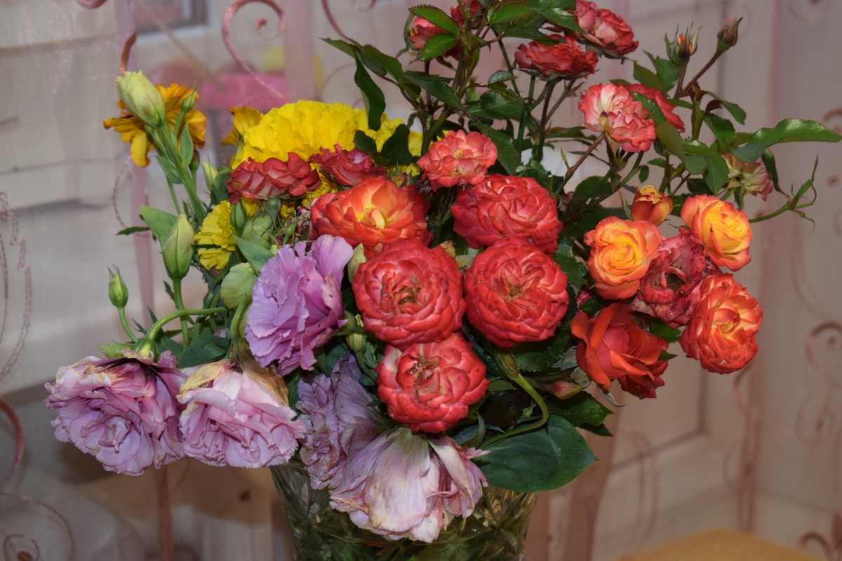 последний осенний букет с моей дачи(фото автора)