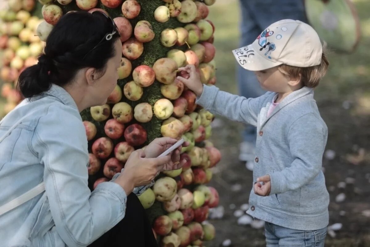    Псковские фестивали стали призерами окружного этапа Russian Event Awards