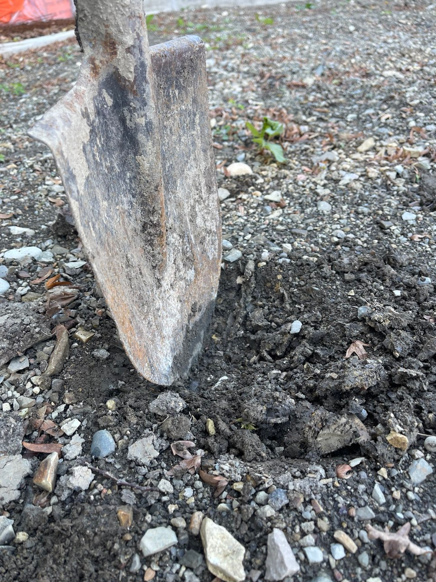 Вот это вся глубина, на которую я смогла лопатой прокопать яму :)