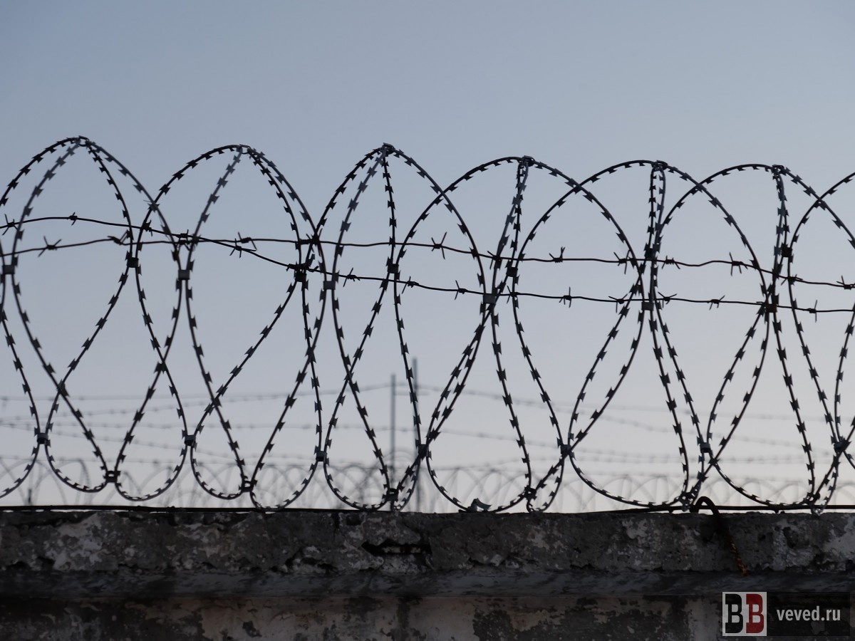     Фото: Владислав Постников / Вечерние Ведомости