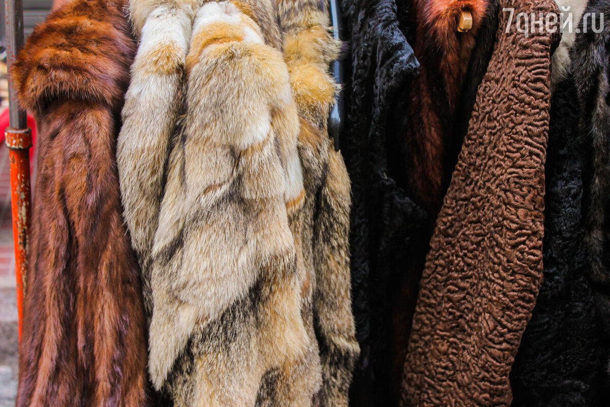    К чему снится шуба 123RF/legion-media.ru