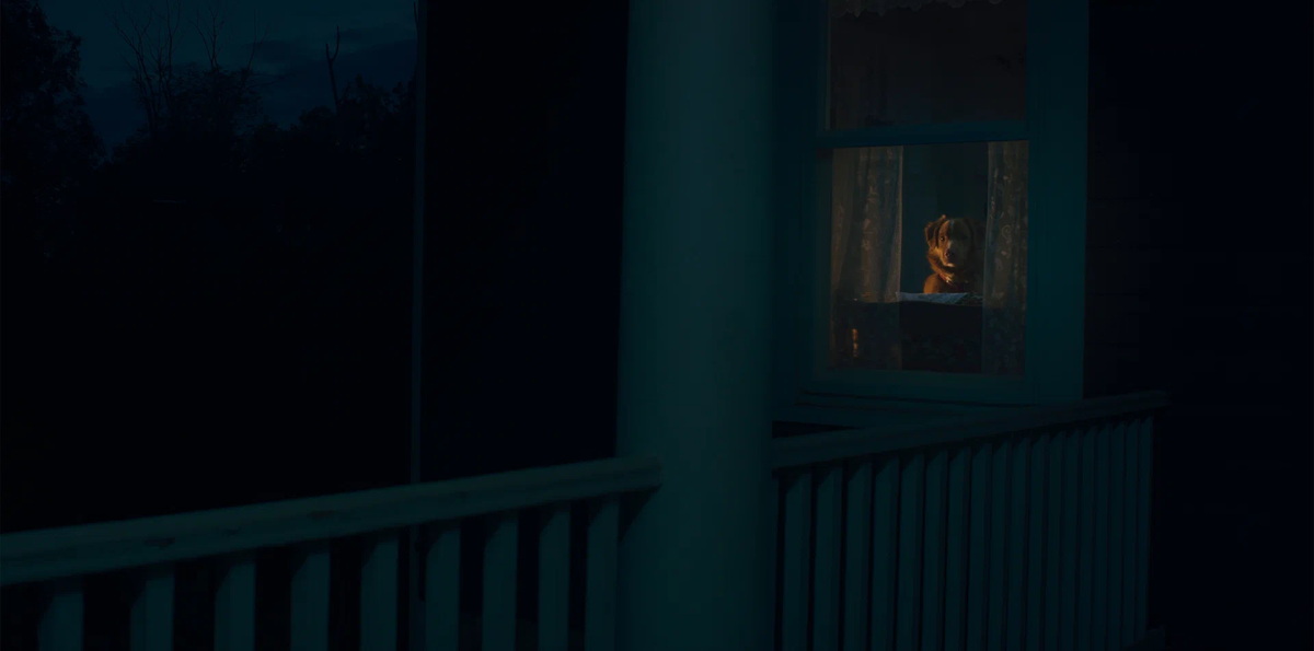 Когда долго ждёшь хозяина, начинаешь видеть всякое...