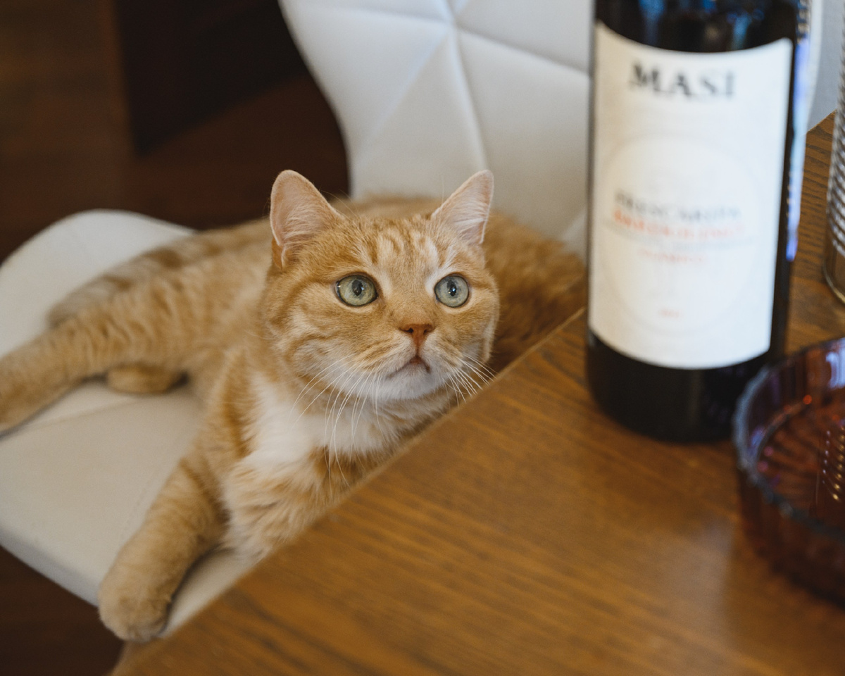 Фото Анна Гончар 