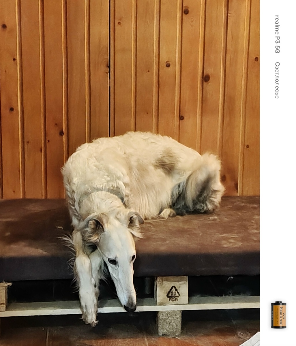 В ожидании ужина