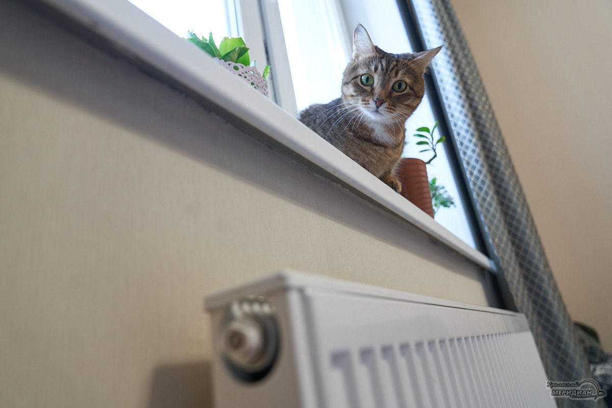    Фото: Лидия Аникина © ИА «Уральский меридиан»