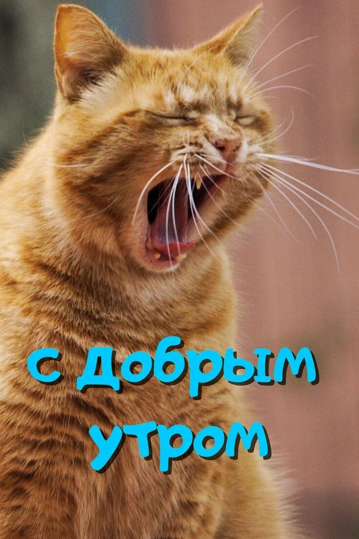 Я - в то самое утро ;)