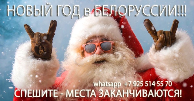 Где лучше встречать Новый 2026 год в Абхазии или Беларуси: какой выбор сделает вашу семью счастливее