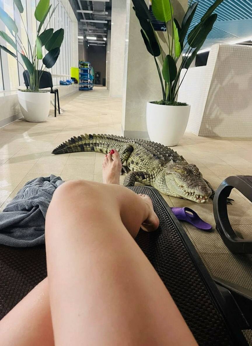 Фото автора 