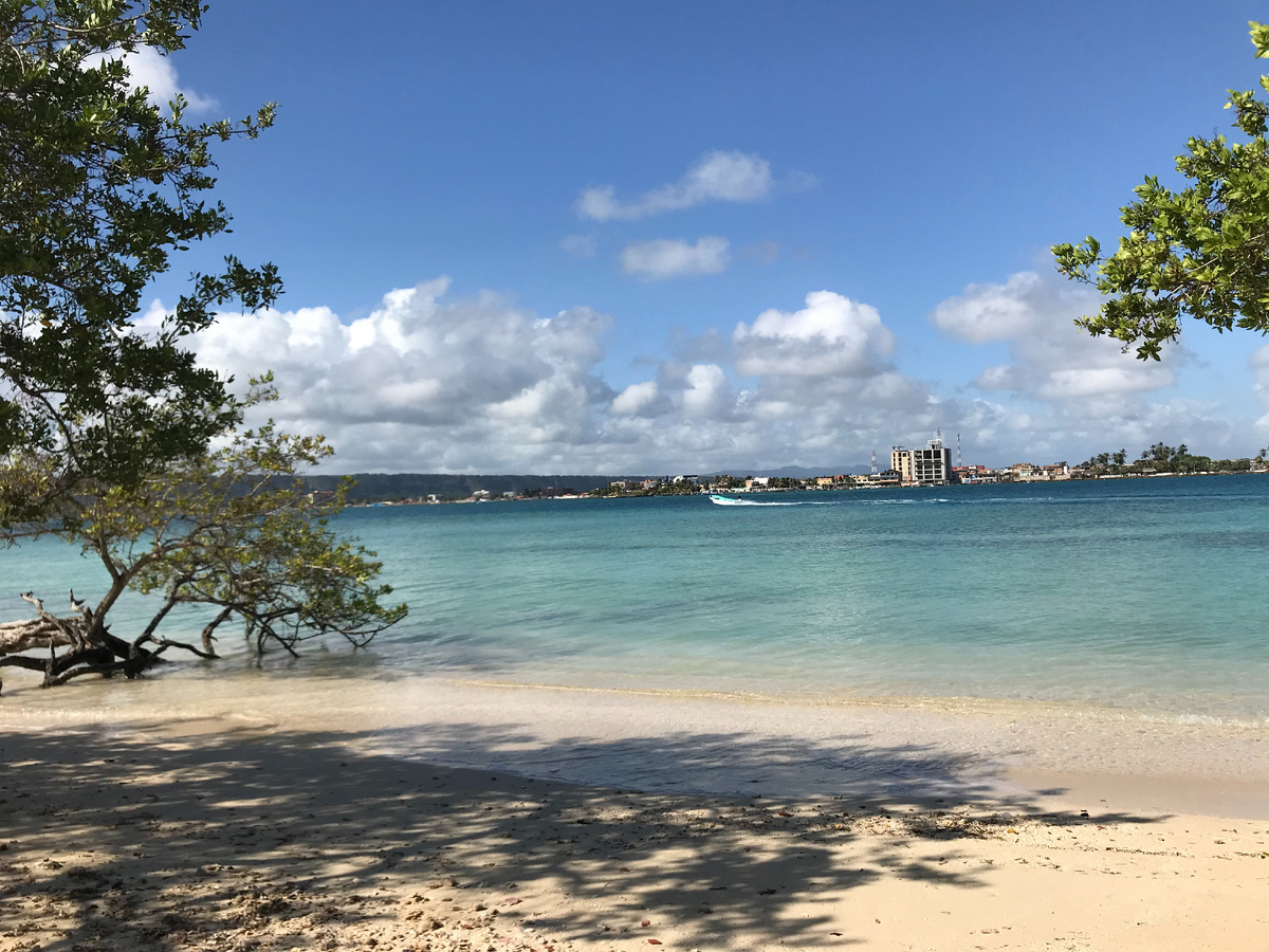 С острова открывается вид на город