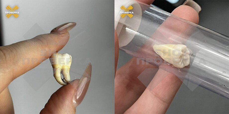    Фото: телеграм-канал SHOT ПРОВЕРКА