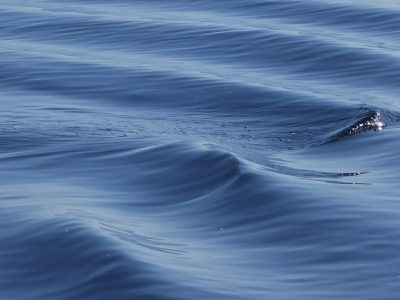    Фото: ГТРК Карелия