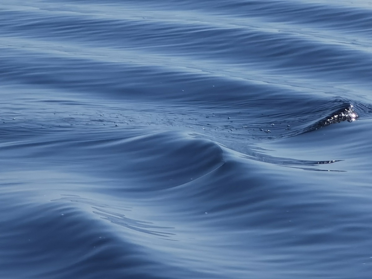    Фото: ГТРК «Карелия»