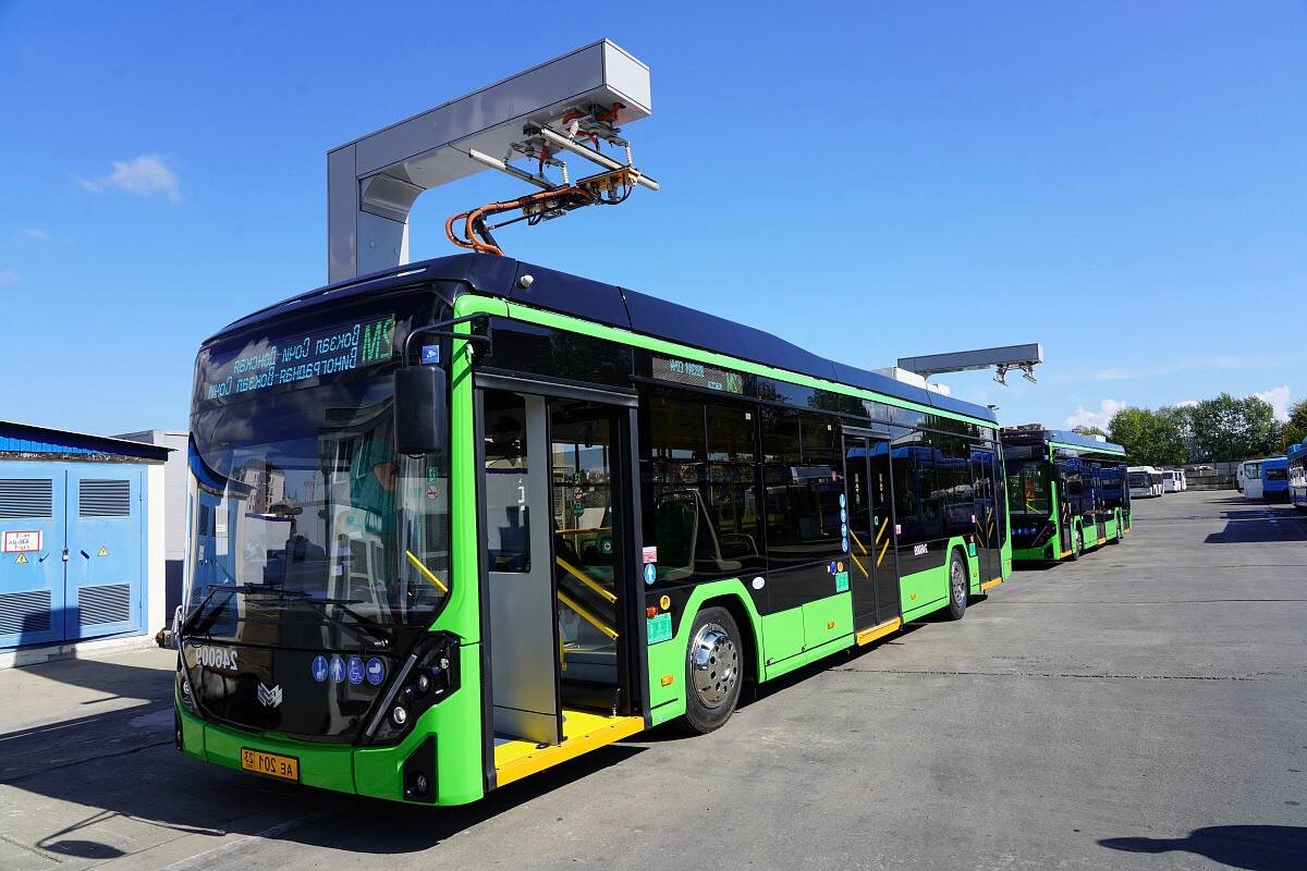    Фото: Telegram/Мэр Сочи Андрей Прошунин