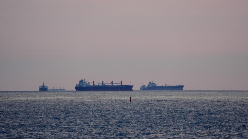    Фото: ИЗВЕСТИЯ/Дмитрий Коротаев